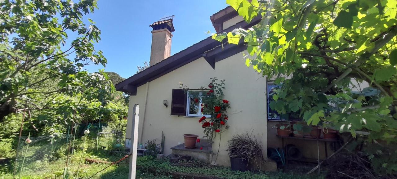 Il Glicine Sutri Exterior foto